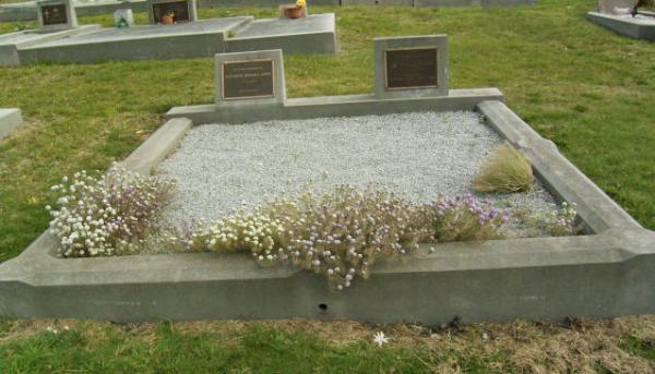 Full-size image