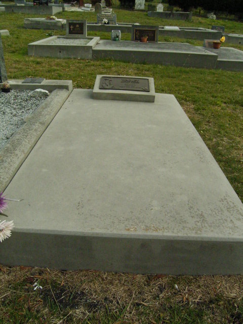 Full-size image