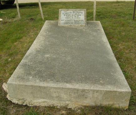 Full-size image