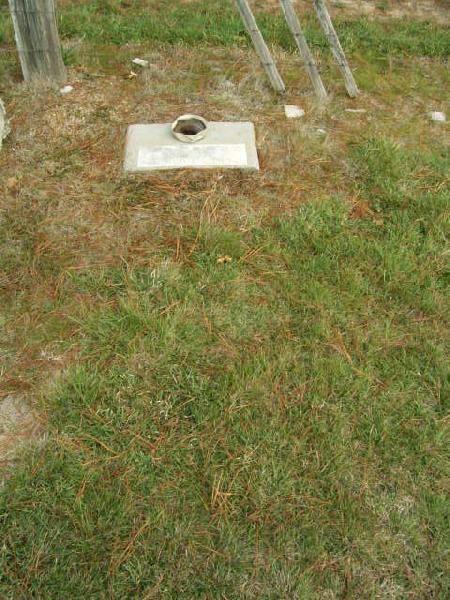 Full-size image