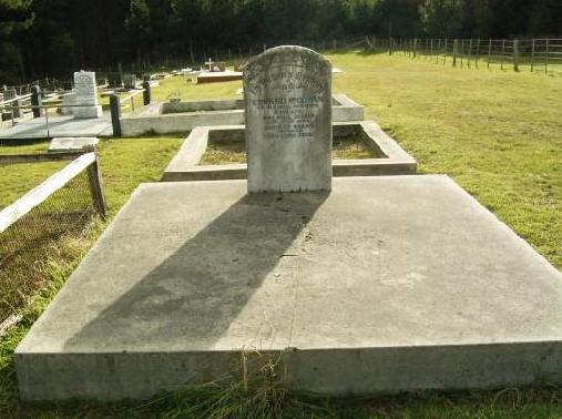 Full-size image