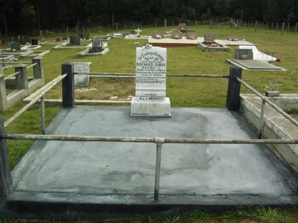 Full-size image