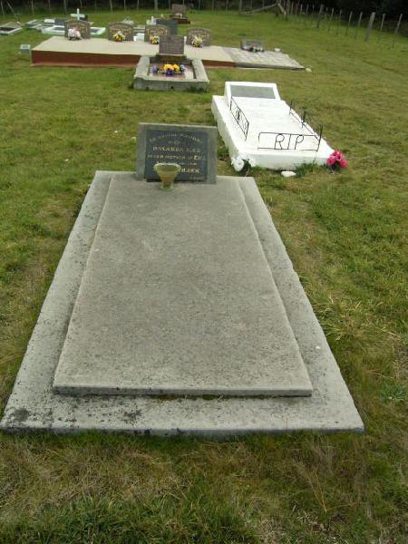 Full-size image