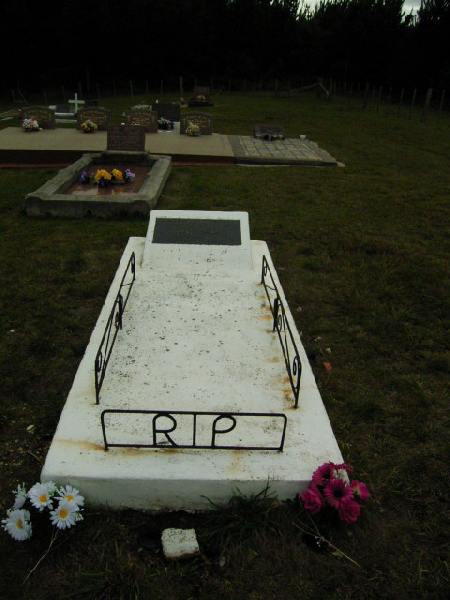 Full-size image