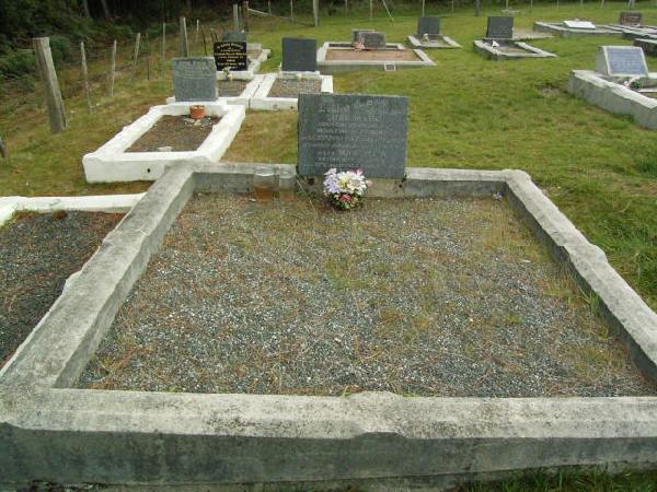 Full-size image