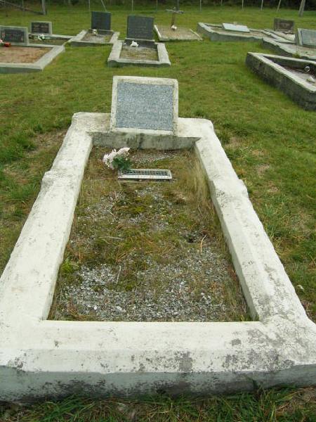 Full-size image