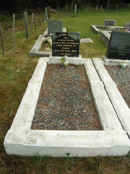 Full-size image