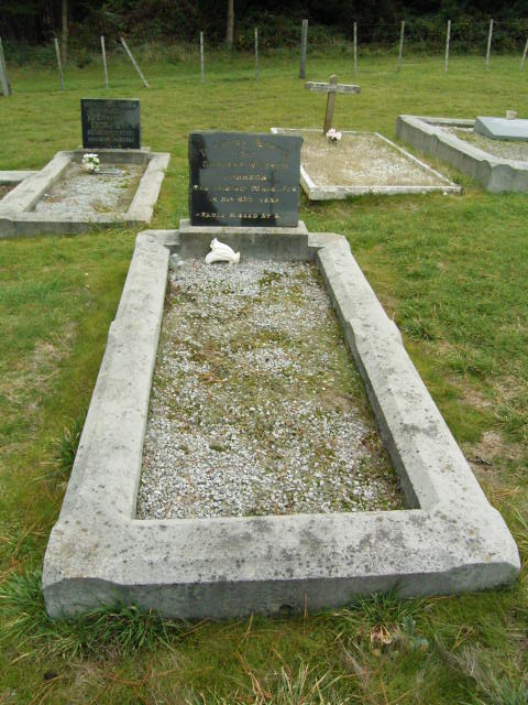 Full-size image