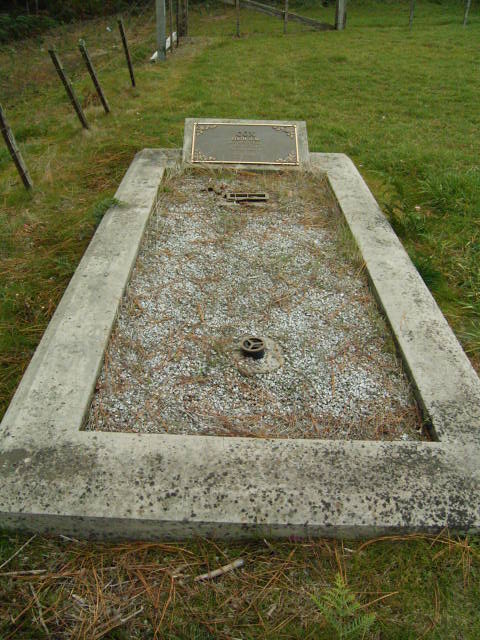 Full-size image