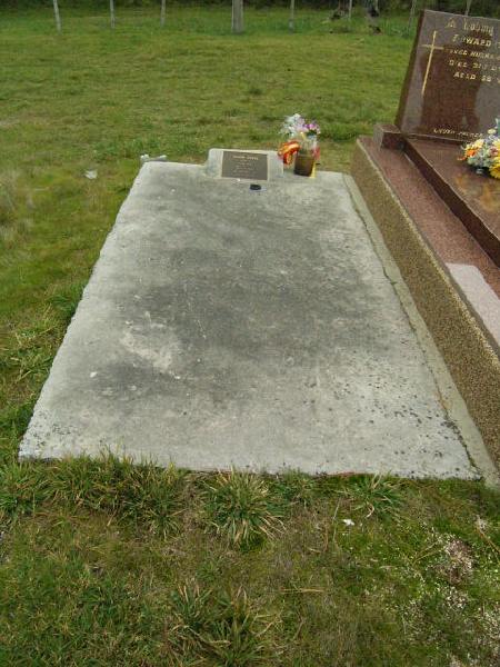 Full-size image