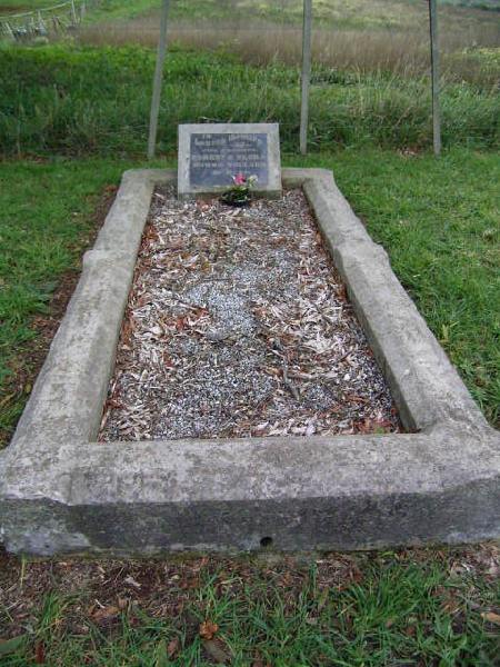 Full-size image