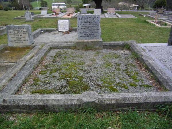 Full-size image