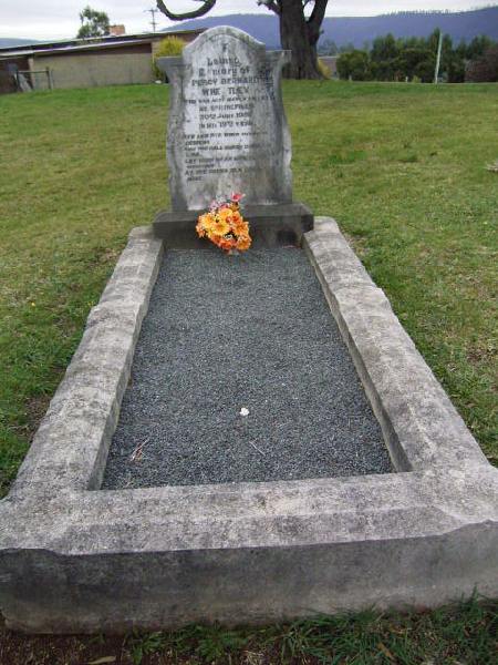 Full-size image