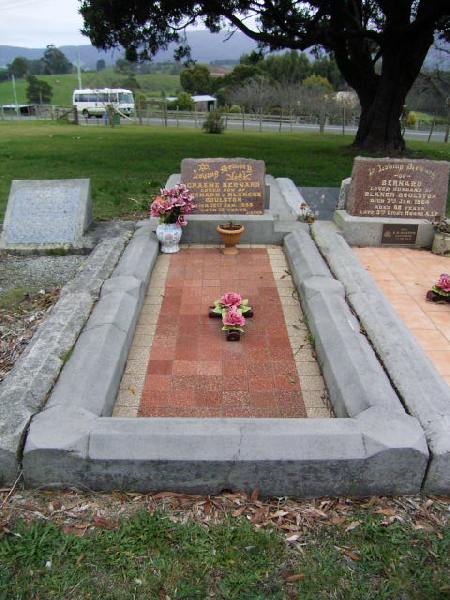 Full-size image