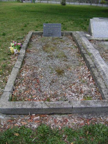Full-size image