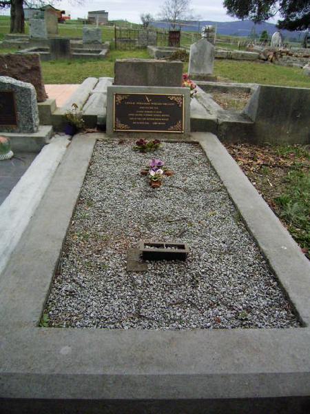 Full-size image