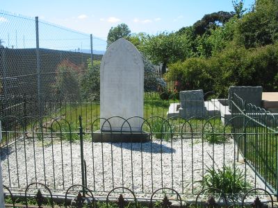 Full-size image