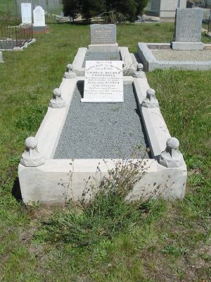 Full-size image