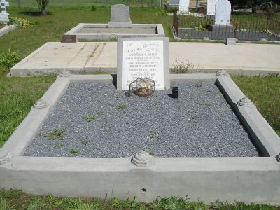 Full-size image