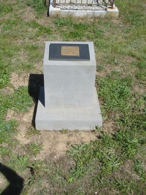 Full-size image
