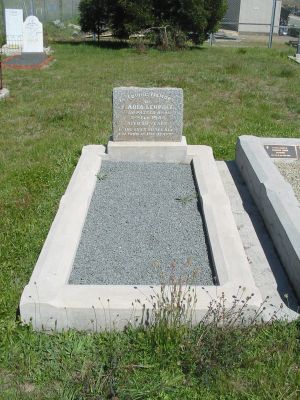Full-size image