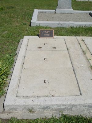 Full-size image