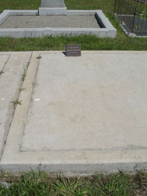 Full-size image