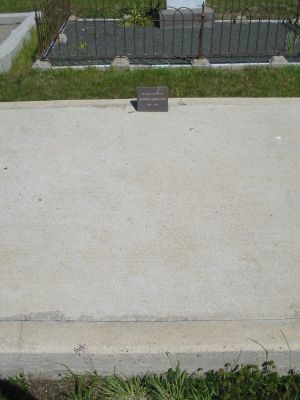 Full-size image