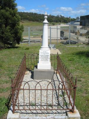 Full-size image