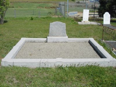 Full-size image