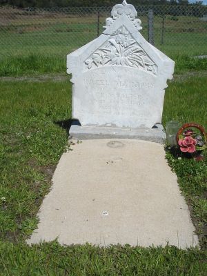Full-size image