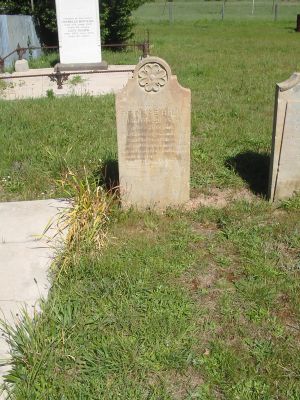 Full-size image