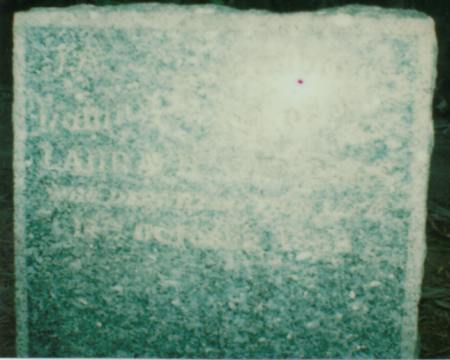 Full-size image