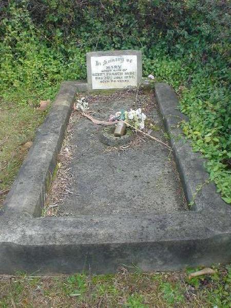 Full-size image