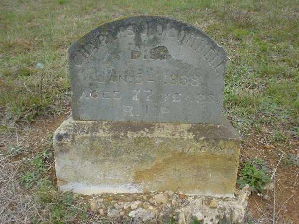 Full-size image
