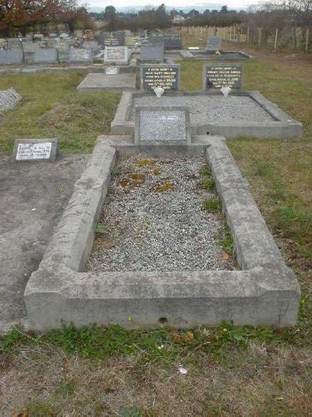 Full-size image