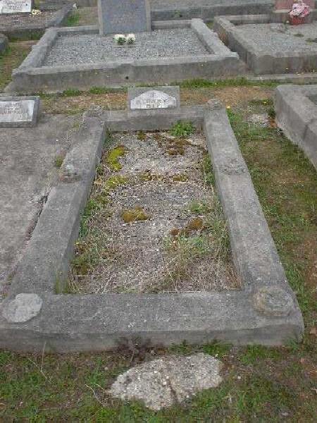 Full-size image