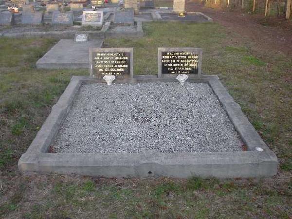 Full-size image