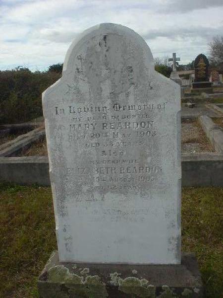 Full-size image