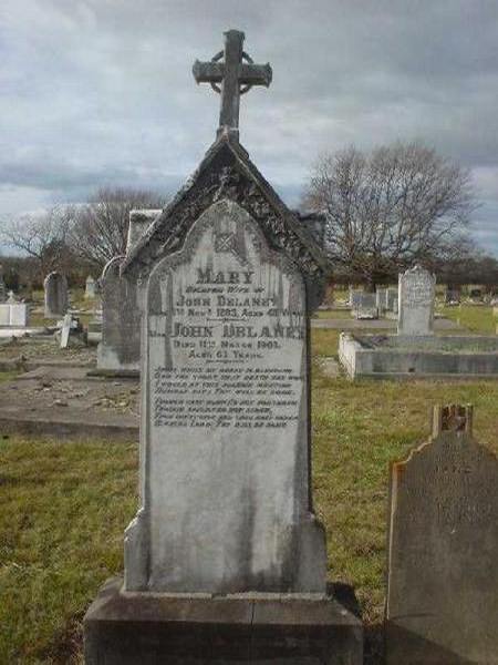 Full-size image