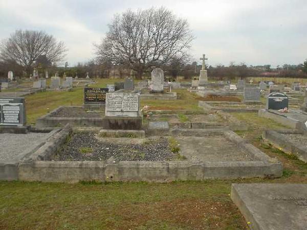 Full-size image