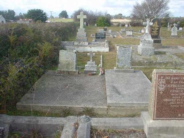 Full-size image