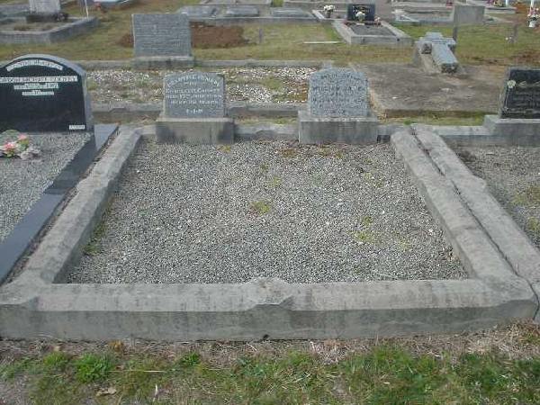 Full-size image