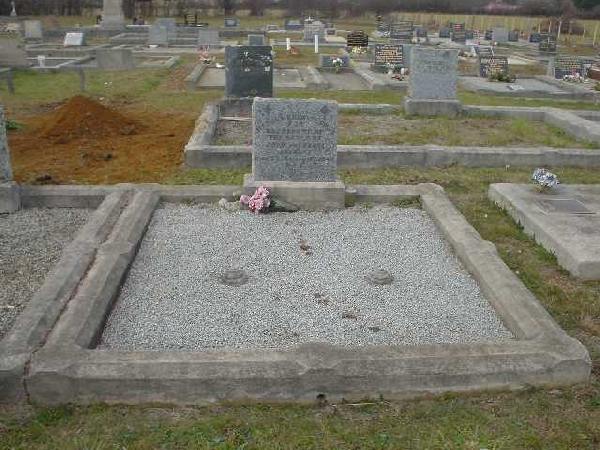 Full-size image