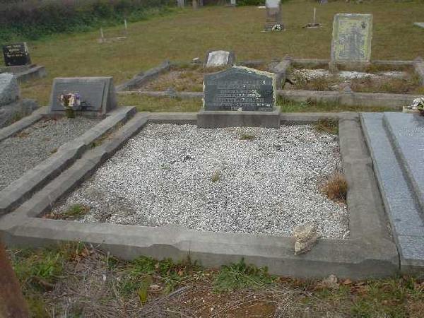 Full-size image