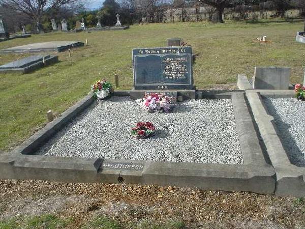 Full-size image