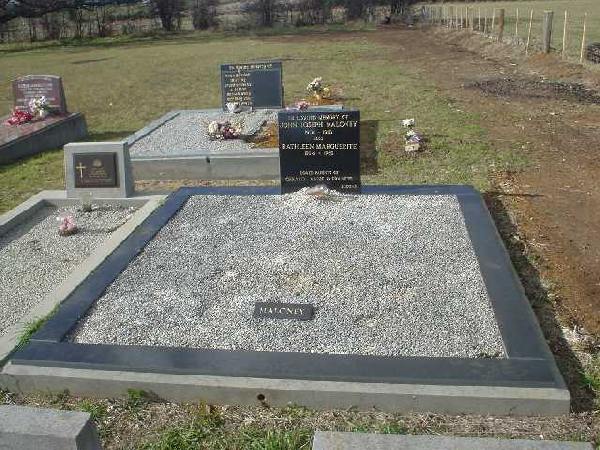 Full-size image