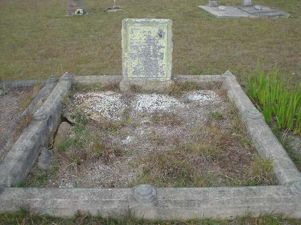 Full-size image