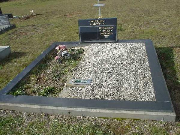 Full-size image