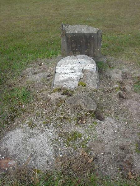 Full-size image